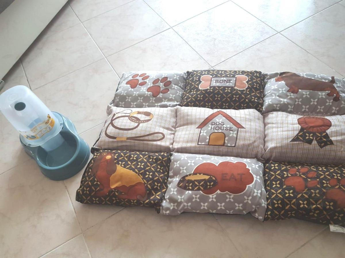 Isotta Guest House Family E Pet Friendly Perugia Kültér fotó